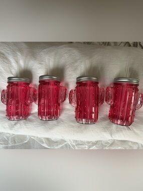 Set of 4 Pink Cactus Mason Jar Tumblers with Lids & Straws. Never used! Adorable